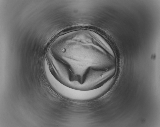 X0000112381257200909101337