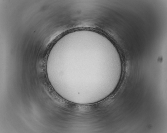 X0000112381258200909101337