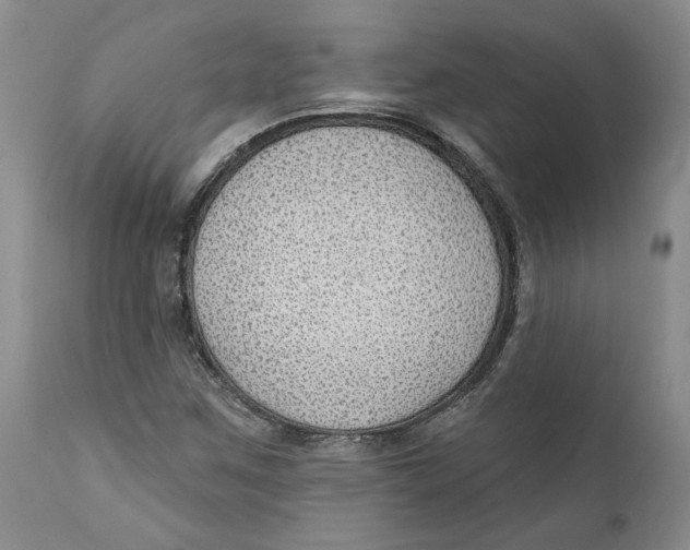 X0000112381259200909101337