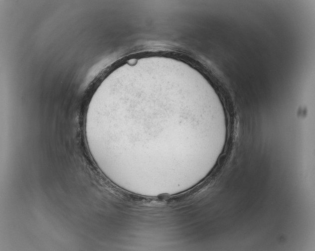 X0000112381261200909101337