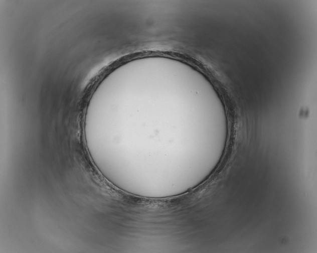 X0000112381262200909101337