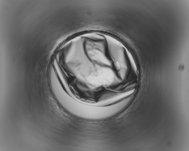 X0000112381264200909101337