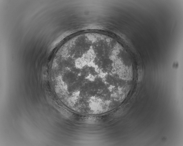 X0000112381266200909101337