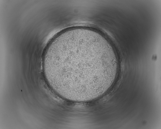 X0000112381267200909101337