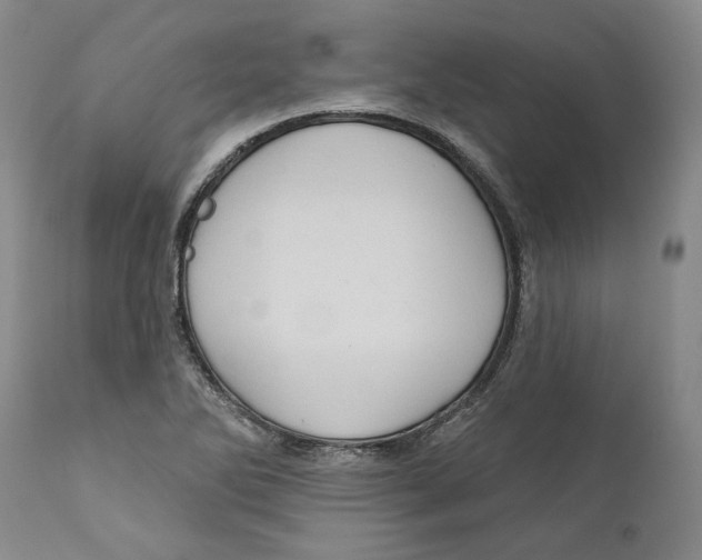 X0000112381270200909101337