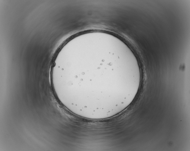 X0000112381272200909101337