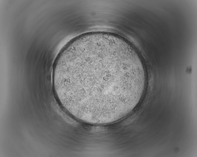 X0000112381275200909101337