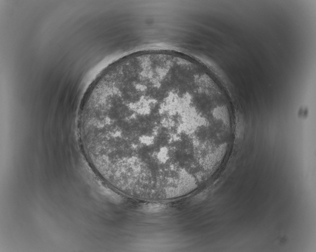 X0000112381278200909101337