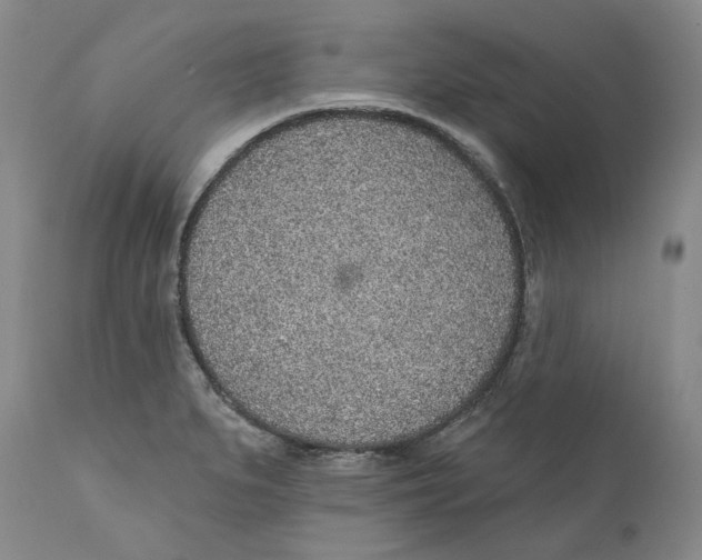 X0000112381279200909101337