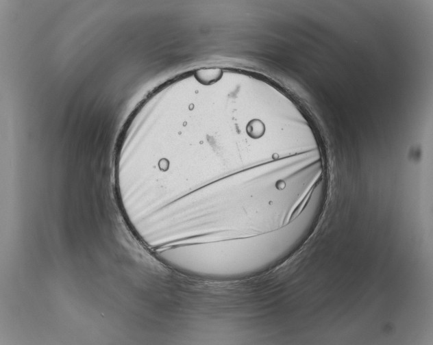 X0000112381280200909101337