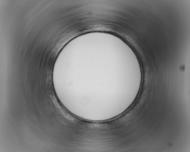 X0000112381281200909101337