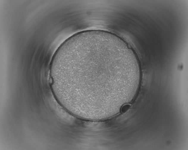 X0000112381284200909101337