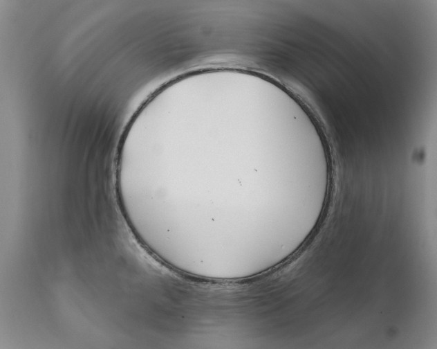 X0000112381288200909101337