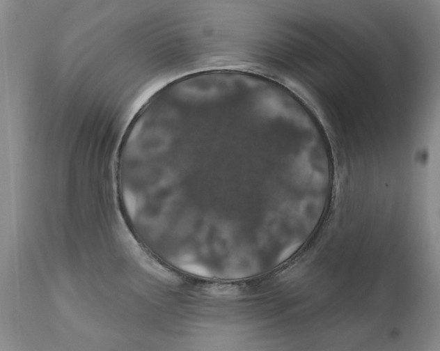 X0000112381291200909101337