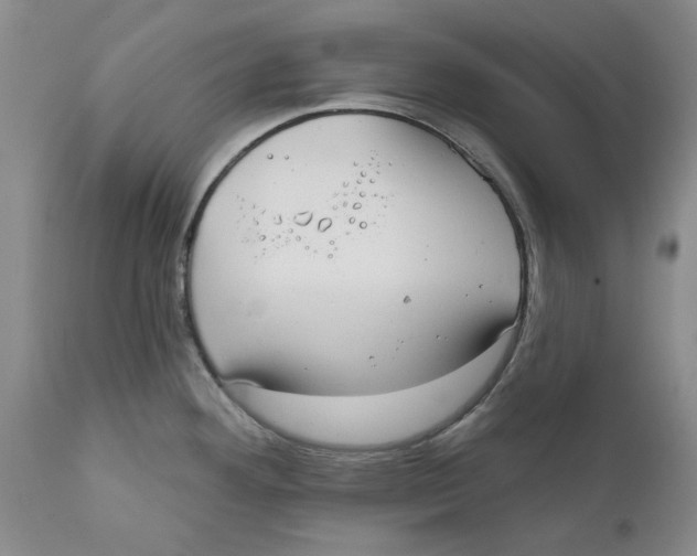 X0000112381292200909101337