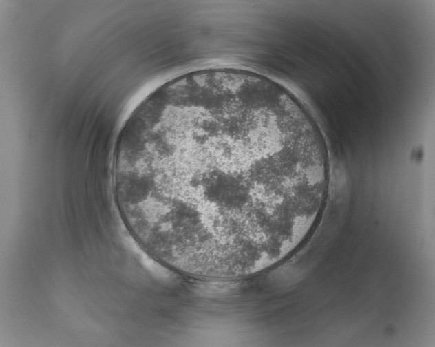 X0000112381294200909101337