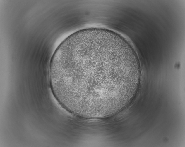 X0000112381295200909101337