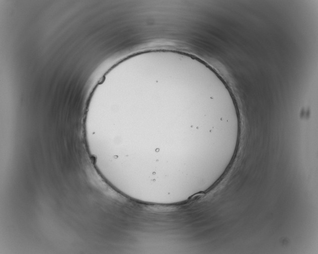 X0000112381296200909101337