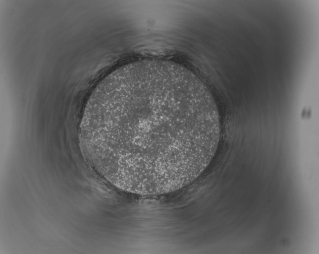 X0000112381297200909101336