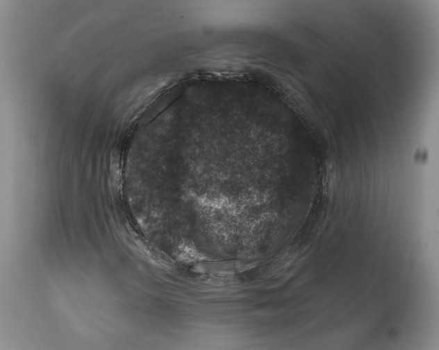 X0000112381298200909101336