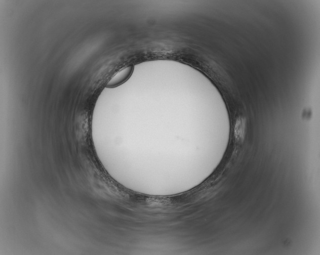 X0000112381299200909101336