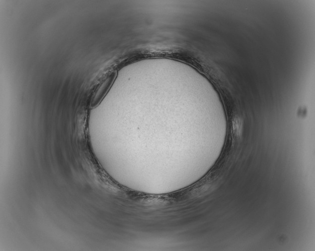 X0000112381300200909101336