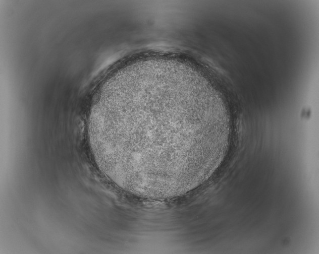 X0000112381302200909101336