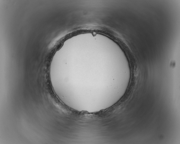 X0000112381304200909101336