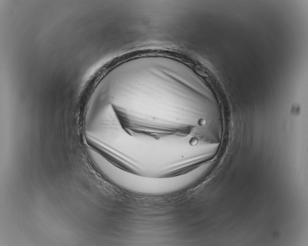 X0000112381310200909101336