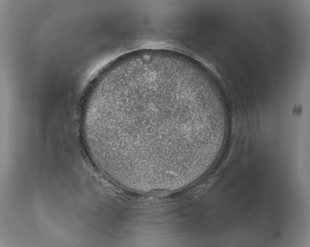 X0000112381311200909101336