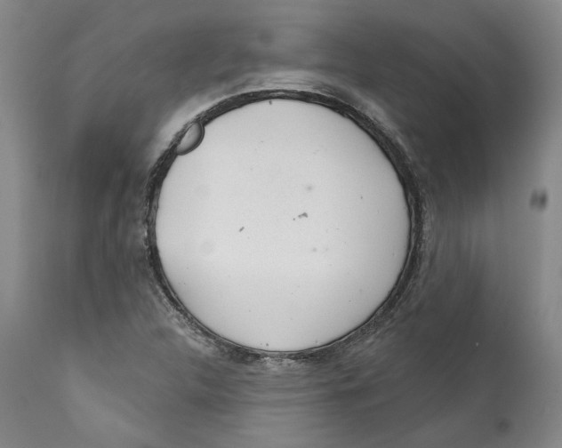 X0000112381312200909101336