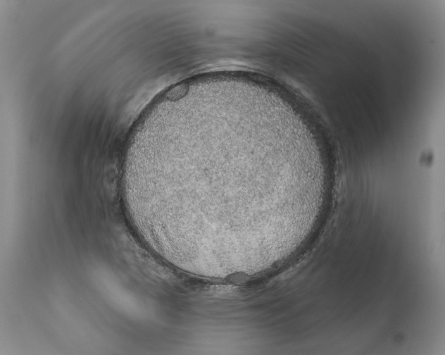 X0000112381313200909101336