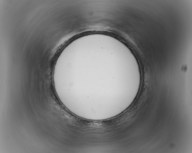 X0000112381315200909101336