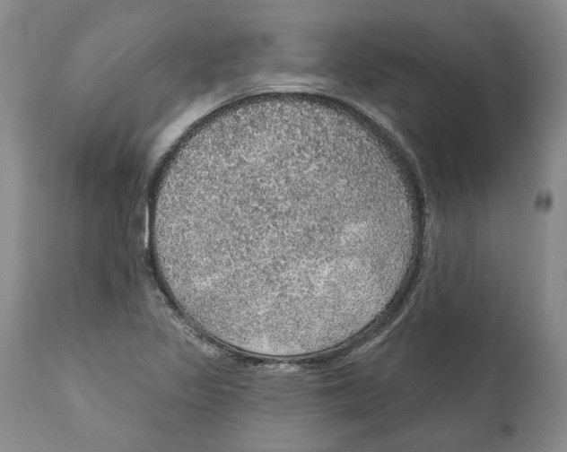 X0000112381317200909101336