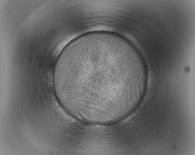 X0000112381321200909101336