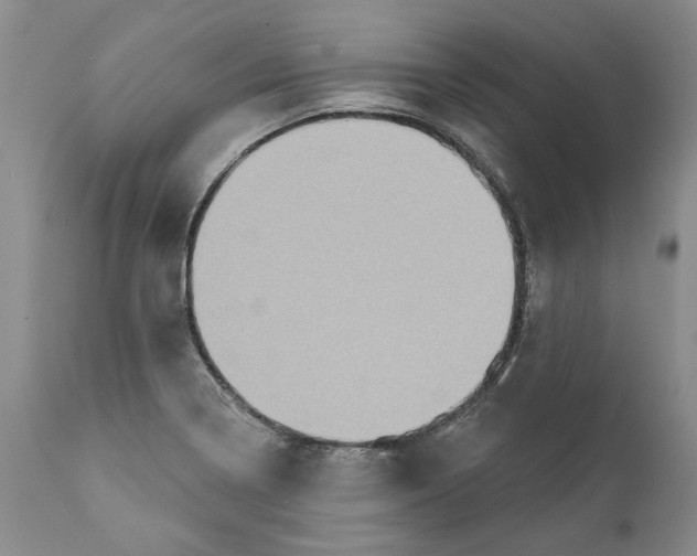 X0000112381322200909101336