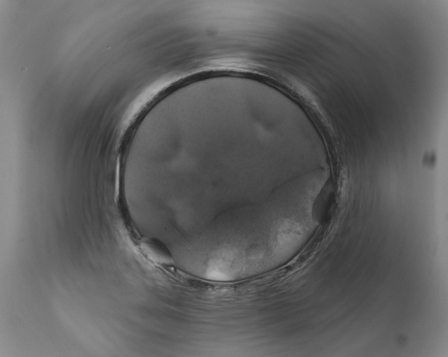 X0000112381323200909101336