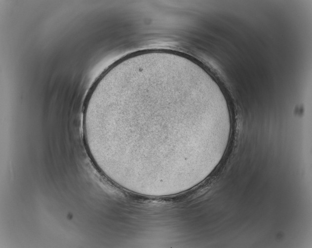 X0000112381324200909101336