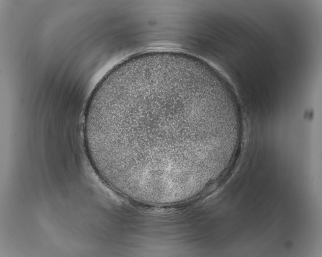 X0000112381325200909101336