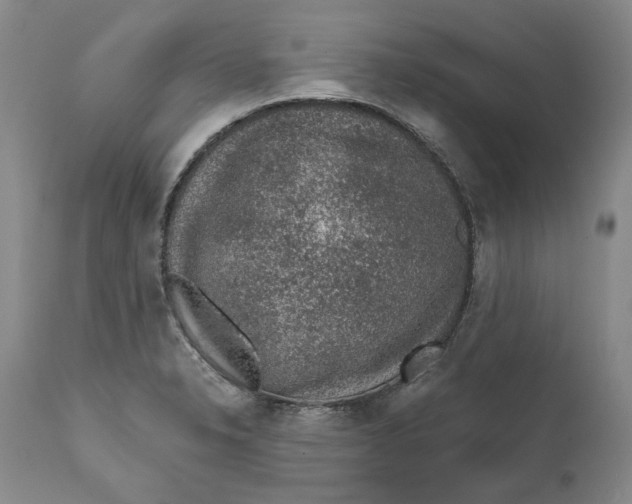 X0000112381326200909101336