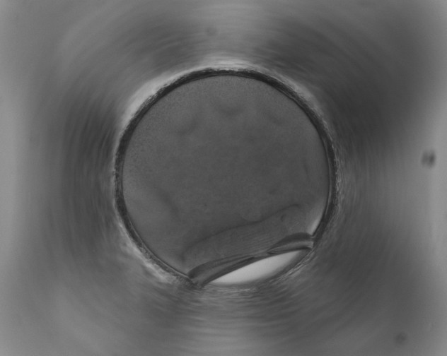 X0000112381327200909101336