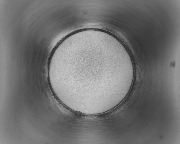 X0000112381328200909101336