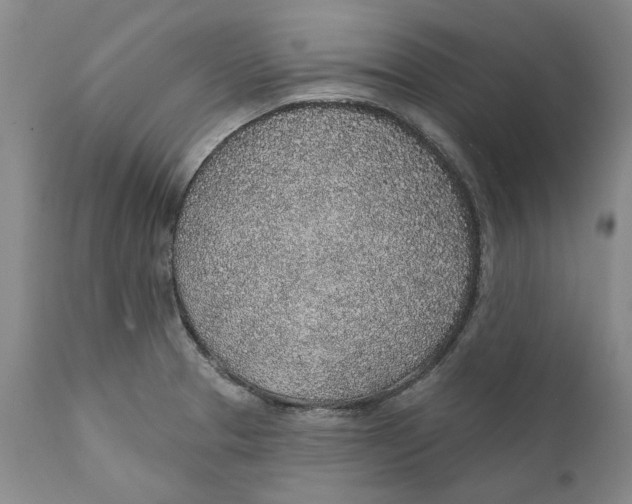 X0000112381329200909101336