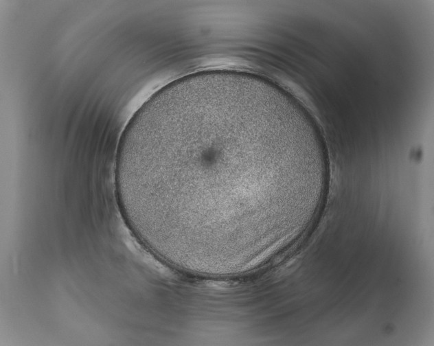 X0000112381330200909101336