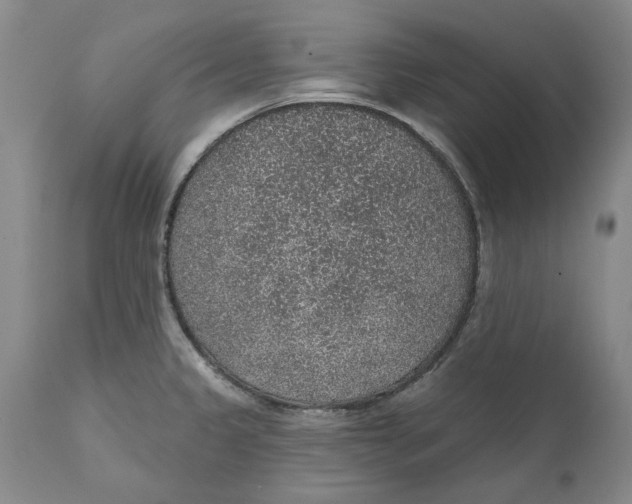 X0000112381333200909101336