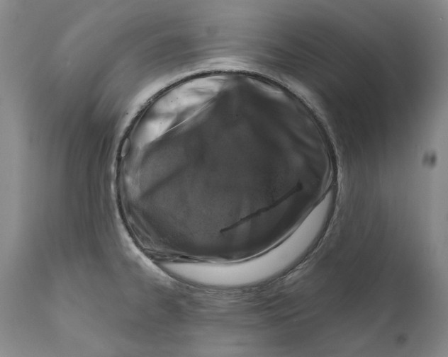 X0000112381334200909101336