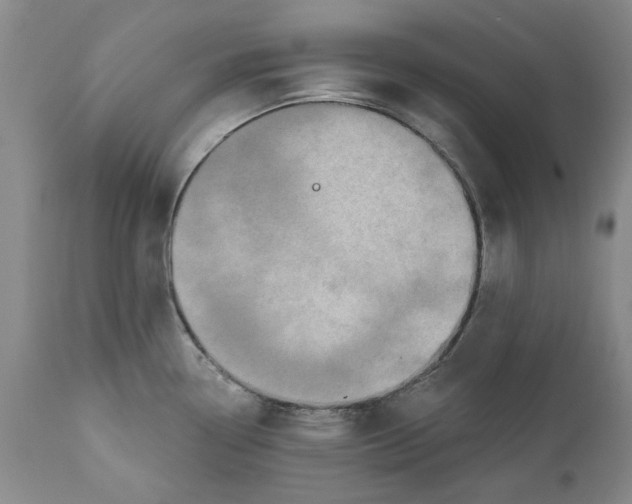 X0000112381338200909101337