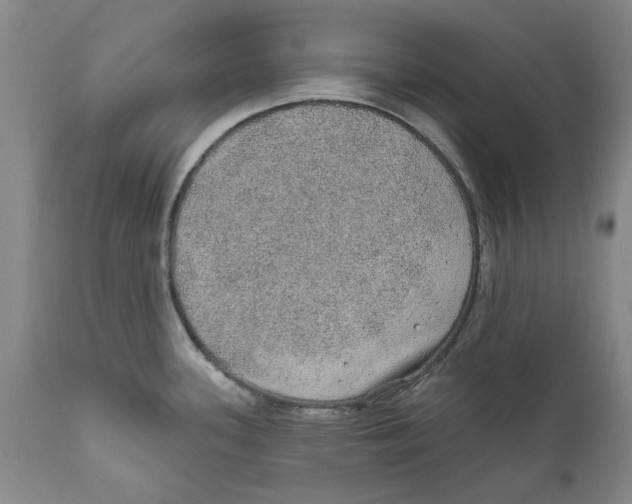 X0000112381339200909101337