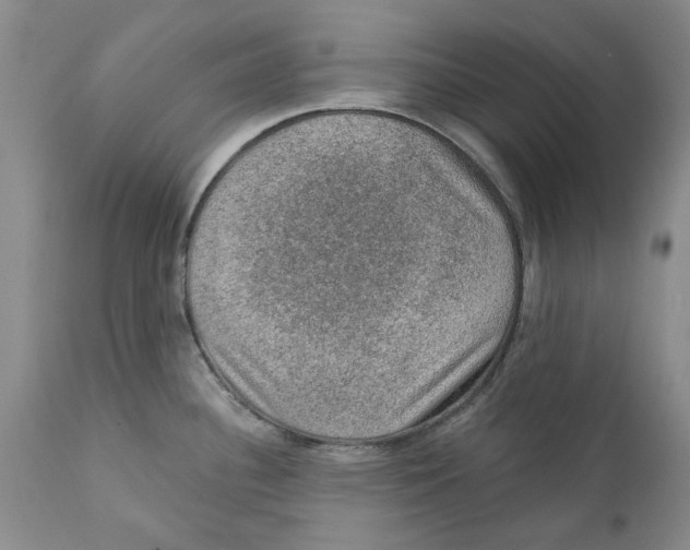 X0000112381340200909101337