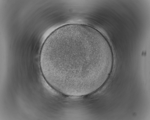 X0000112381344200909101337